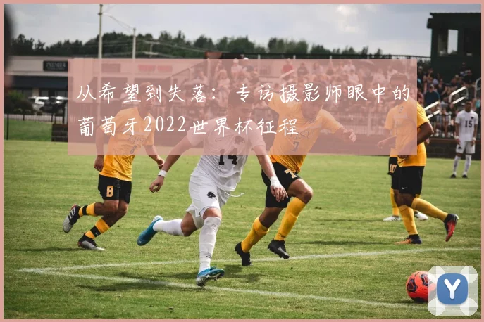从希望到失落：专访摄影师眼中的葡萄牙2022世界杯征程